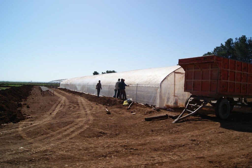 One of a few greenhouses already in operation