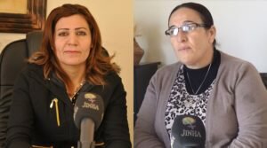 Rojava, Syria, Kurdistan, women, jineology, cooperatives, solidarity